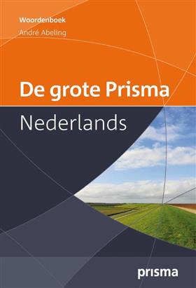 9789049107413 - De grote prisma nederlands